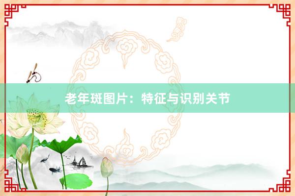 老年斑图片：特征与识别关节