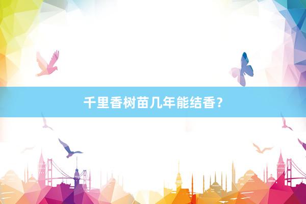 千里香树苗几年能结香？